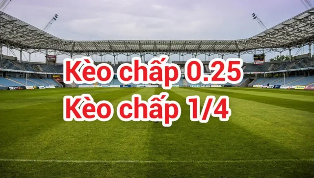 Kèo 1:4 là gì?